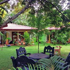 https://sigiriya-ranasinghe-nature-villa.kandyhotelsnow.com